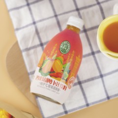 新疆苏贝希沙棘胡萝卜汁300ml×10瓶装