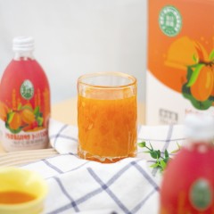 新疆苏贝希沙棘胡萝卜汁300ml×10瓶装