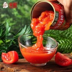 笑厨新疆番茄块番茄丁400g×5罐无添加低脂自然成熟去皮西红柿块