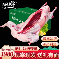 三疆牧羊新疆羊肉生鲜38斤全只羔羊礼盒 羊排羊腿烧烤送礼羊羔肉