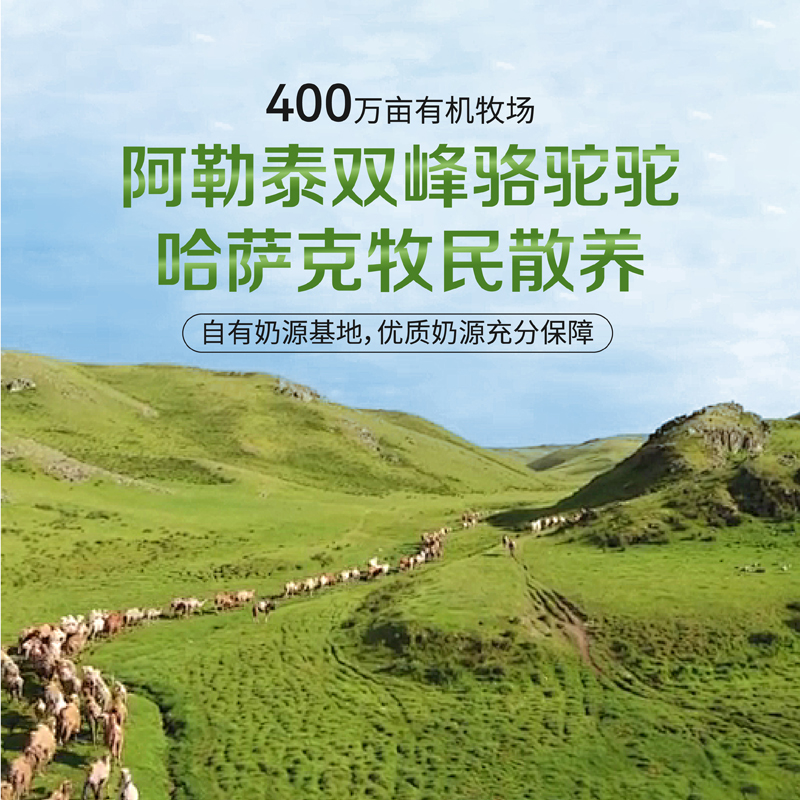 新疆旺源领道纯驼乳粉 有机认证纯驼奶粉 儿童 成人 中老年营养品300克（20克*15条）