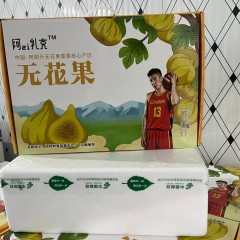 【新疆阿图什产地直发顺丰空运】新疆糖包子(老树采摘无花果)鲜果12枚/24枚装